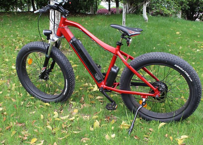 350w/36V इलेक्ट्रिक बाइक ईबाइक माउंटेन बाइक फैट बाइक स्नो बाइक रियर हब मोटर 0